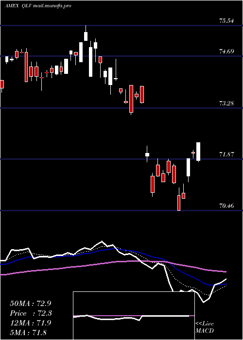  Daily chart FlexsharesUs