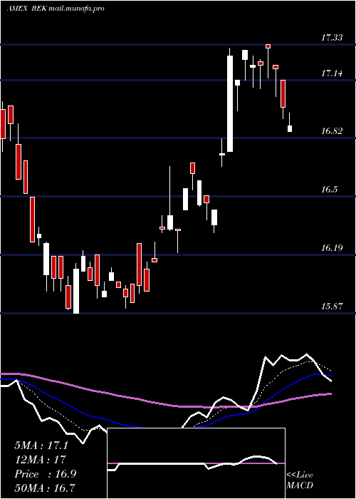  Daily chart ShortReal