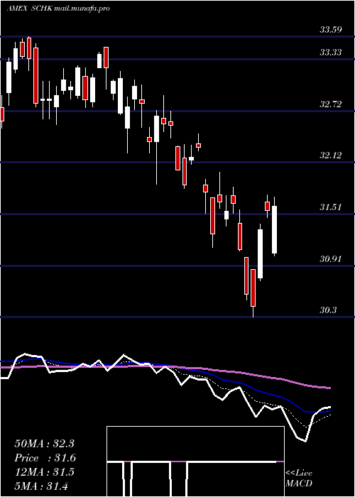  Daily chart Schwab1000
