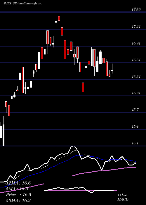  Daily chart ShippingGuggenheim