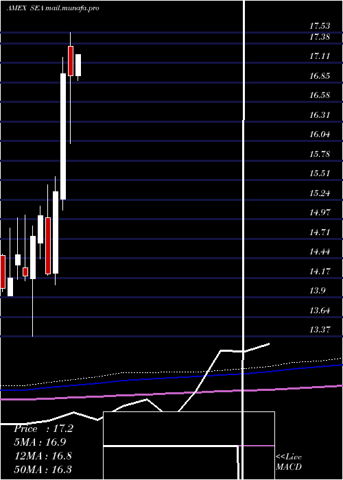  monthly chart ShippingGuggenheim