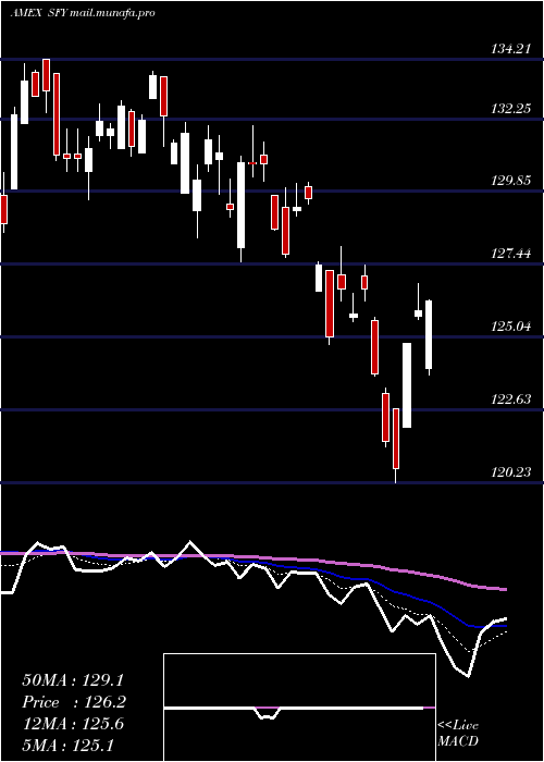  Daily chart SofiSelect