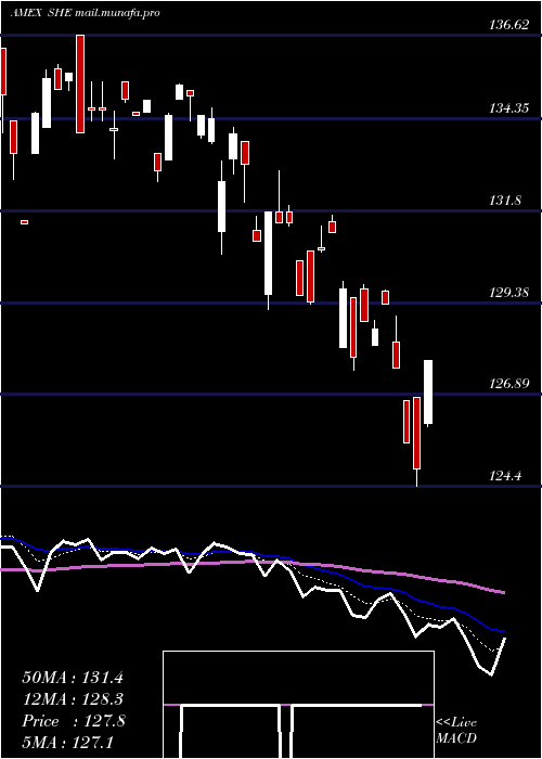  Daily chart SpdrSeries