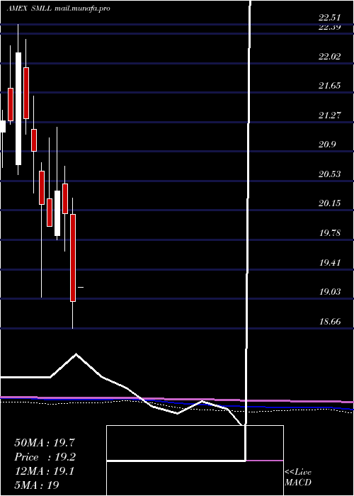  monthly chart DirexiionDaily