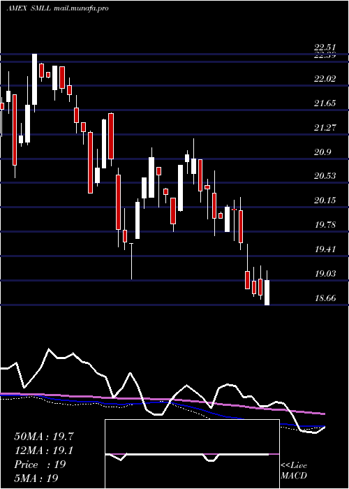  weekly chart DirexiionDaily
