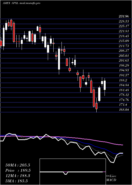  Daily chart DirexionDaily