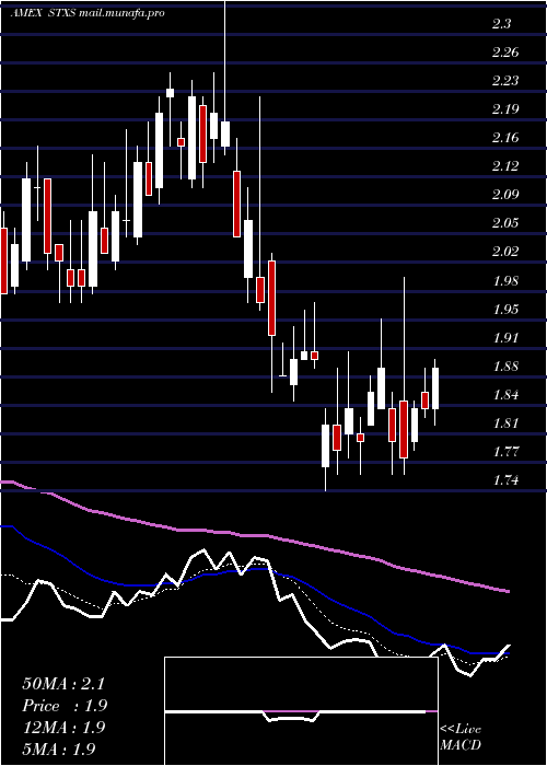  Daily chart StereotaxisInc