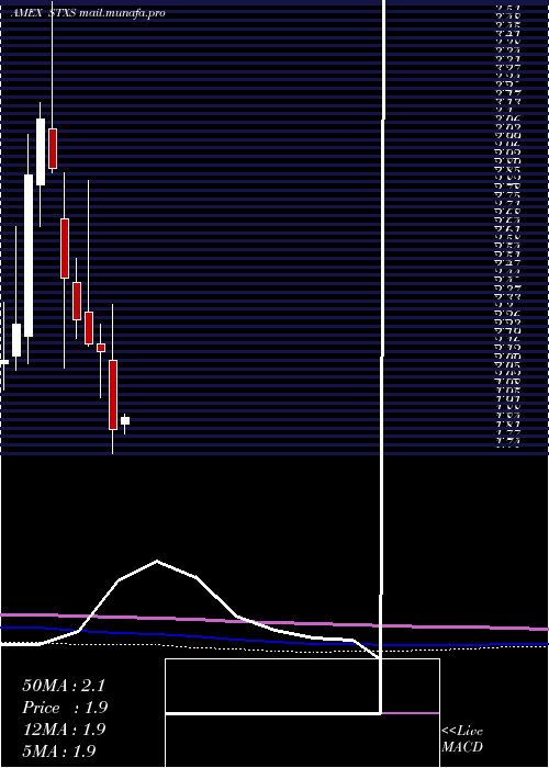  monthly chart StereotaxisInc