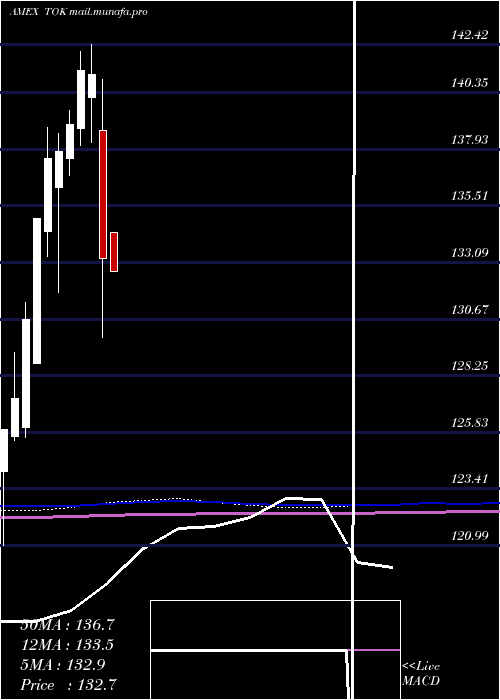  monthly chart KokusaiIndex