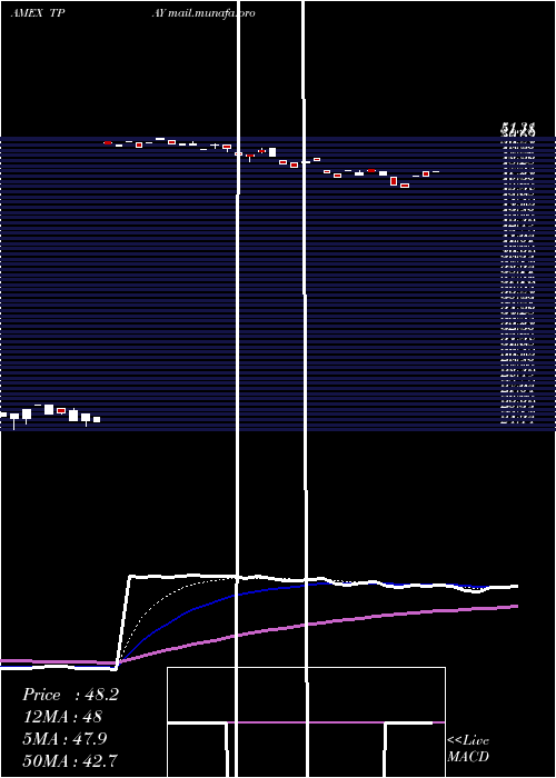  Daily chart TortoiseDigital