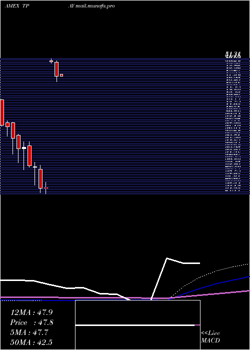  monthly chart TortoiseDigital