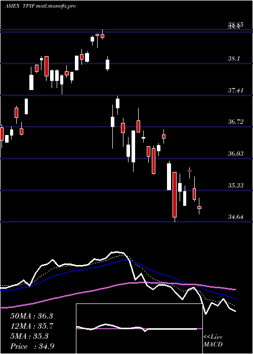  Daily chart TimothyPlan