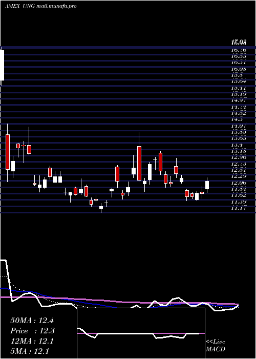  Daily chart UsNatural