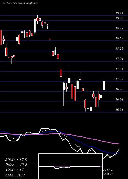  Daily chart VietnamEtf