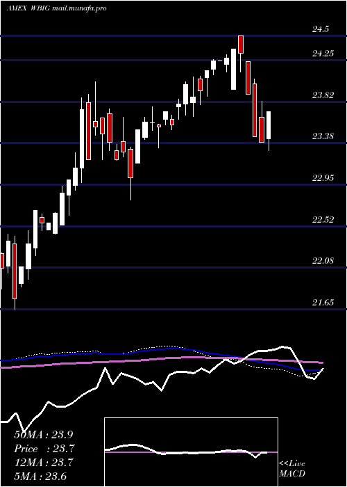  weekly chart WbiLarge