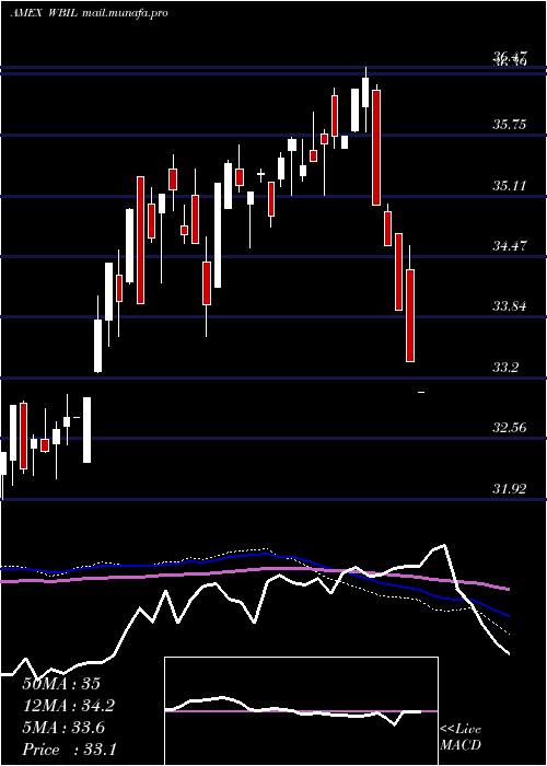  weekly chart WbiLarge