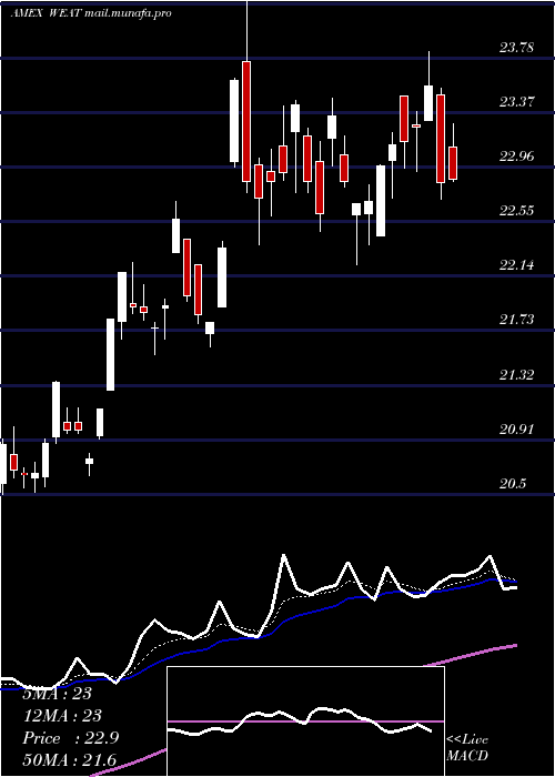  Daily chart TeucriumWheat