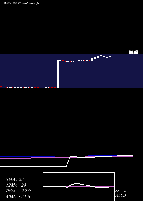  weekly chart TeucriumWheat