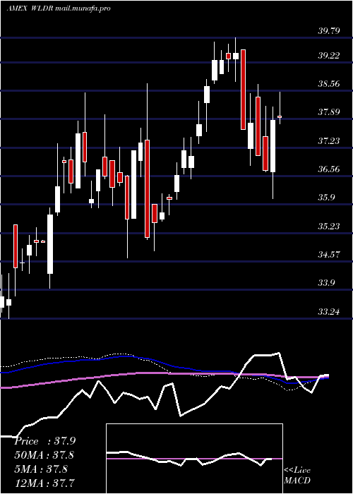  weekly chart AffinityWorld