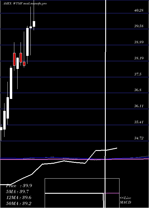  monthly chart WisdomtreeManaged