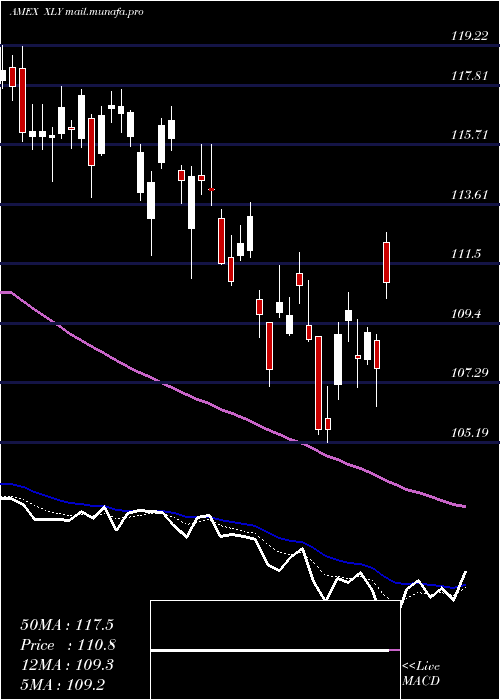  Daily chart ConsumerDiscret