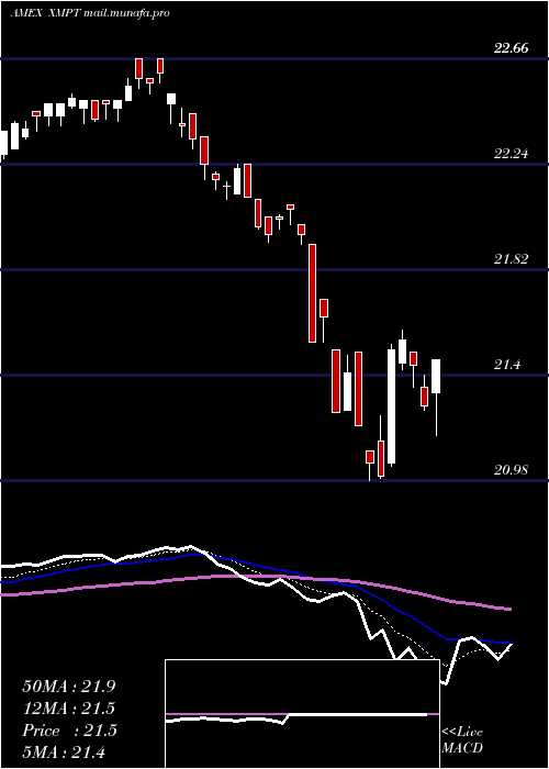  Daily chart CefMunicipal