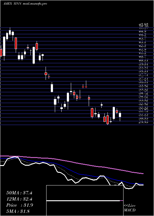  Daily chart DirexionDaily