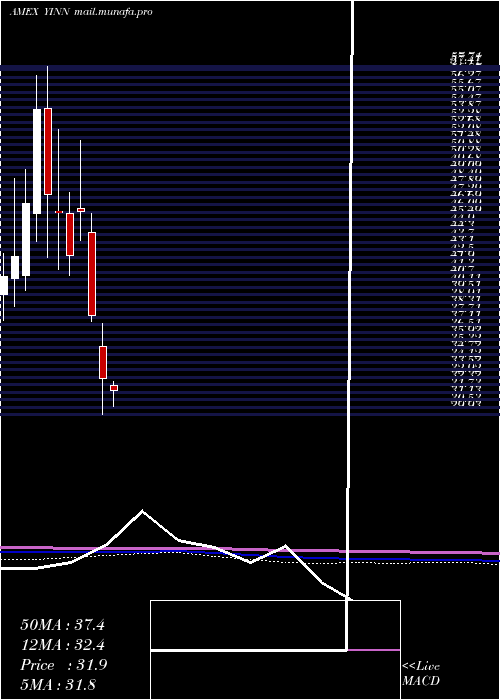  monthly chart DirexionDaily