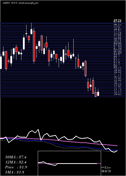  weekly chart DirexionDaily