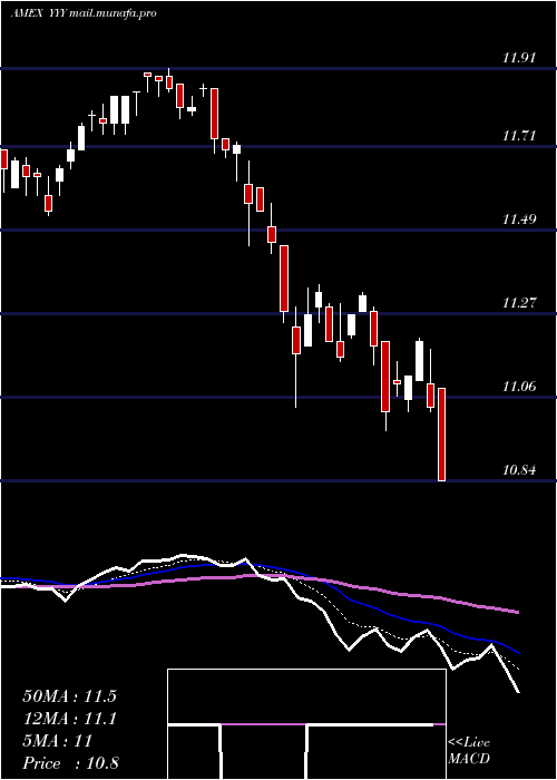  Daily chart YieldsharesHigh