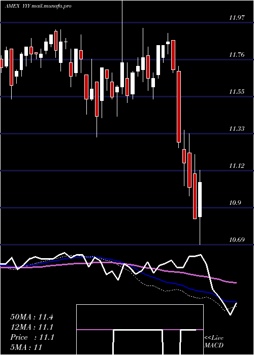  weekly chart YieldsharesHigh