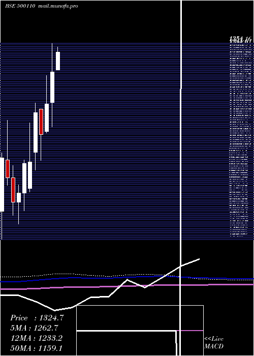  monthly chart ChennaiPet