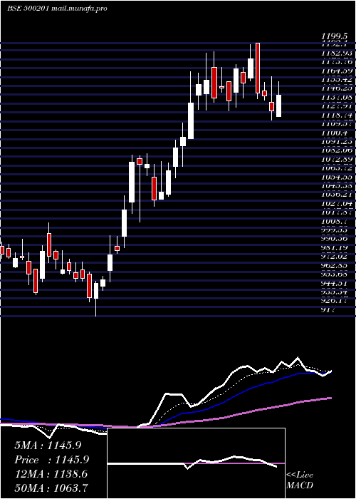  Daily chart IndGlycols