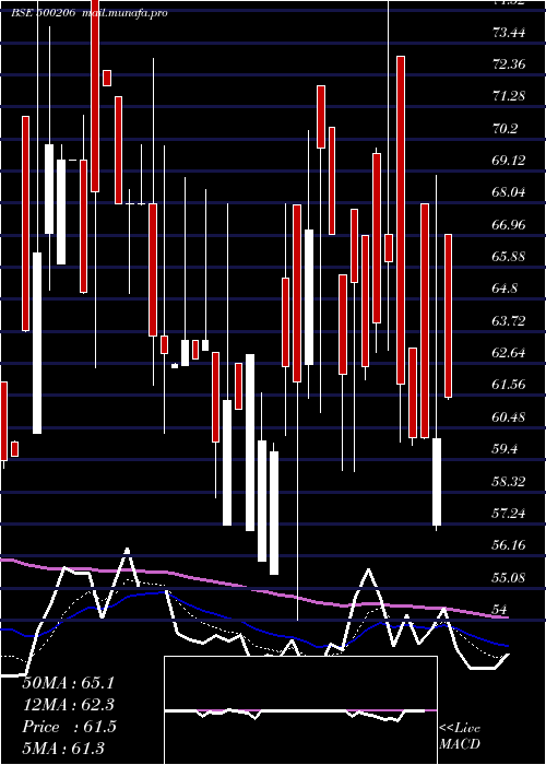  Daily chart MargoFin