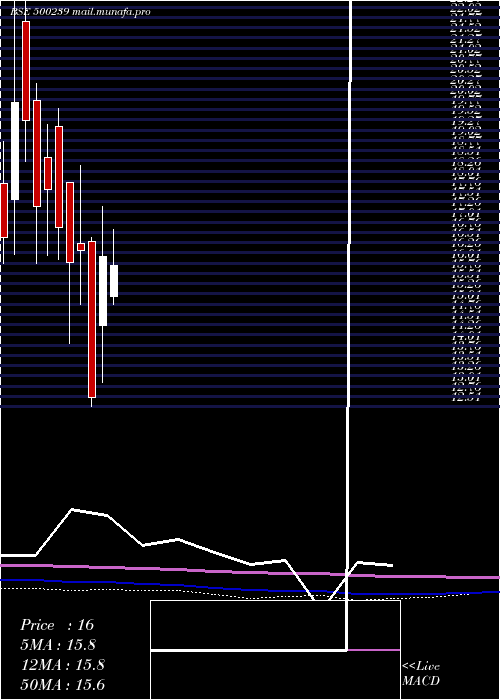  monthly chart KgDenim