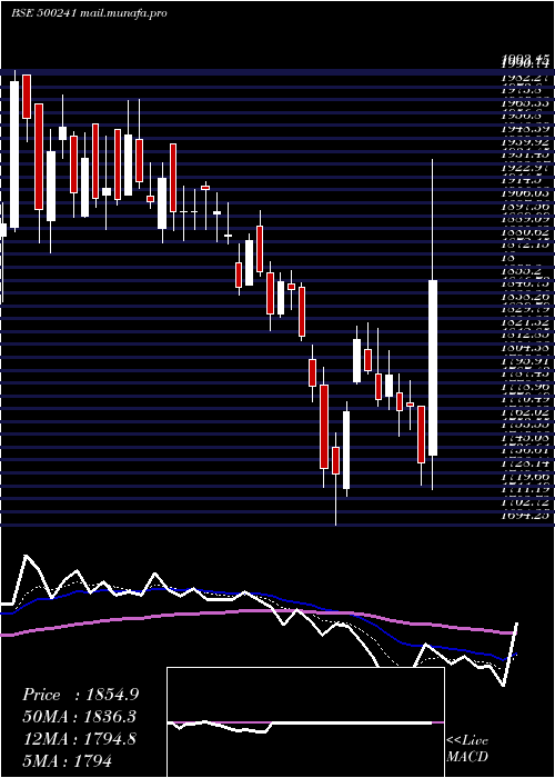  Daily chart KirlBros