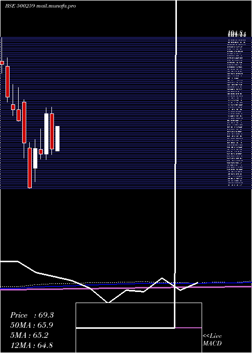  monthly chart LykaLabs