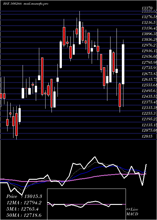  Daily chart MahScooter