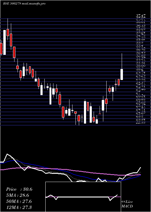  Daily chart MircElect