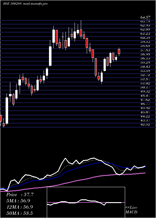  Daily chart MorepenLab