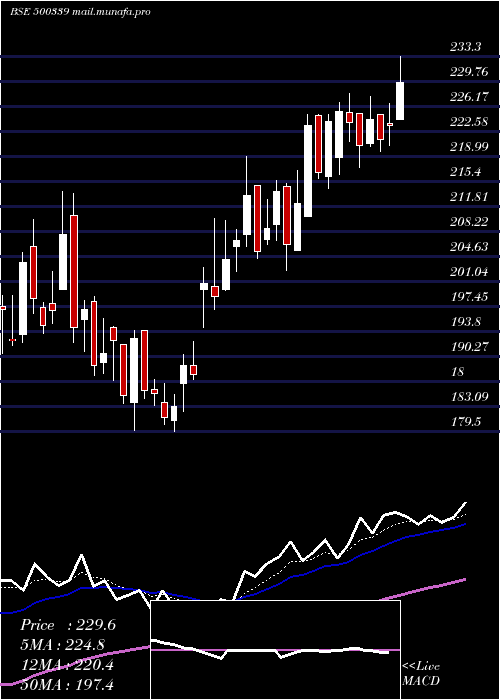  Daily chart Rain