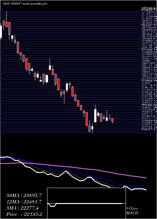  Daily chart ShreeCement