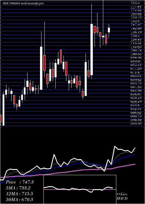  Daily chart SupremePet