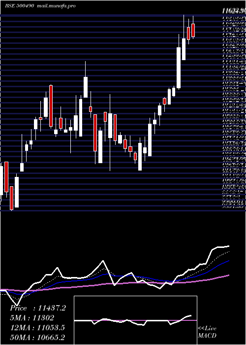  Daily chart BajHold