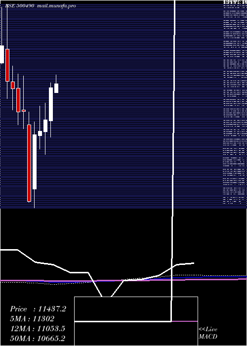  monthly chart BajHold