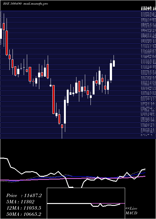  weekly chart BajHold