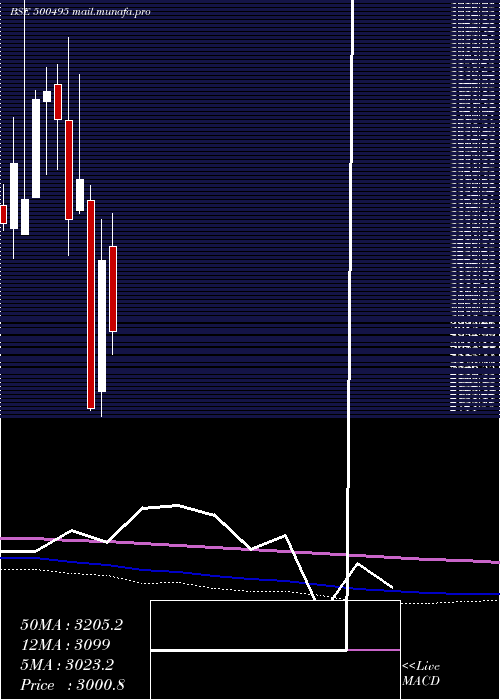  monthly chart Escorts