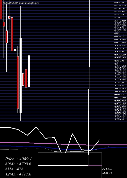  monthly chart Pfizer
