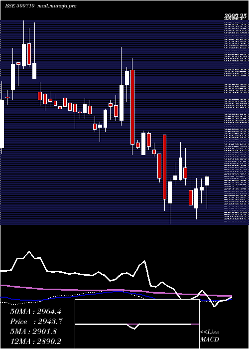  weekly chart Akzoindia
