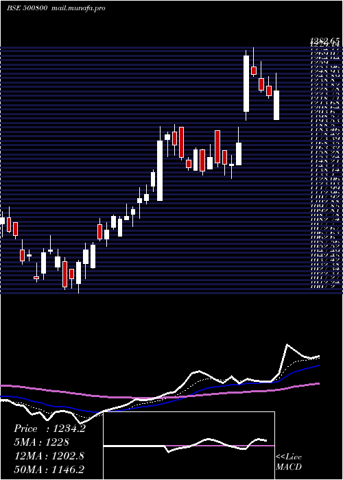  Daily chart Tataconsum